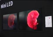 聚焦LED應用全場景， 2022深圳國際全觸與顯示展解鎖行業(yè)新航向